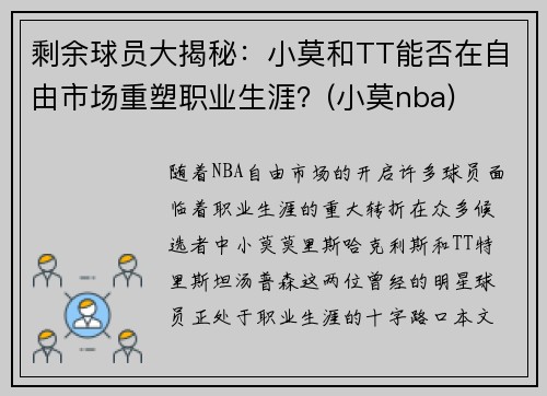 剩余球员大揭秘：小莫和TT能否在自由市场重塑职业生涯？(小莫nba)