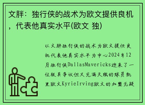 文胖：独行侠的战术为欧文提供良机，代表他真实水平(欧文 独)