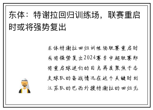 东体：特谢拉回归训练场，联赛重启时或将强势复出